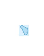 トップへ